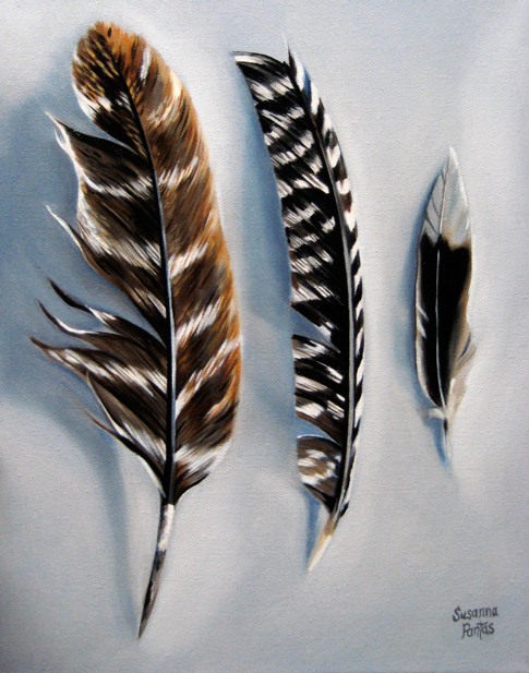 Contemplation: Trio of Feathers by Susanna Pantas